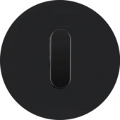 Накладка с ручкой для поворотных переключателей, R.classic, стекло цвет: черный