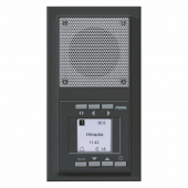 D 20.485.64 Radio Радиоприёмник антрацит AURA
